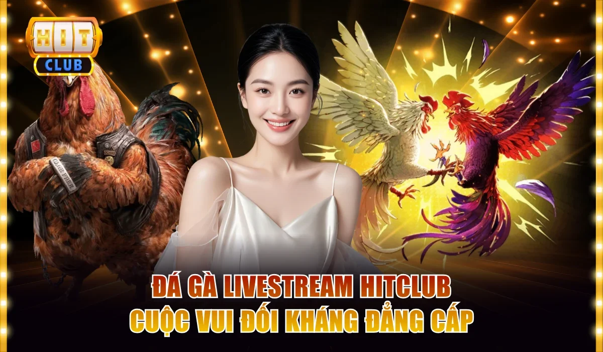 Đá Gà Livestream Hitclub - Cuộc Vui Đối Kháng Đẳng Cấp 1 Đá gà livestream Hitclub