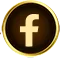 icon fb ft