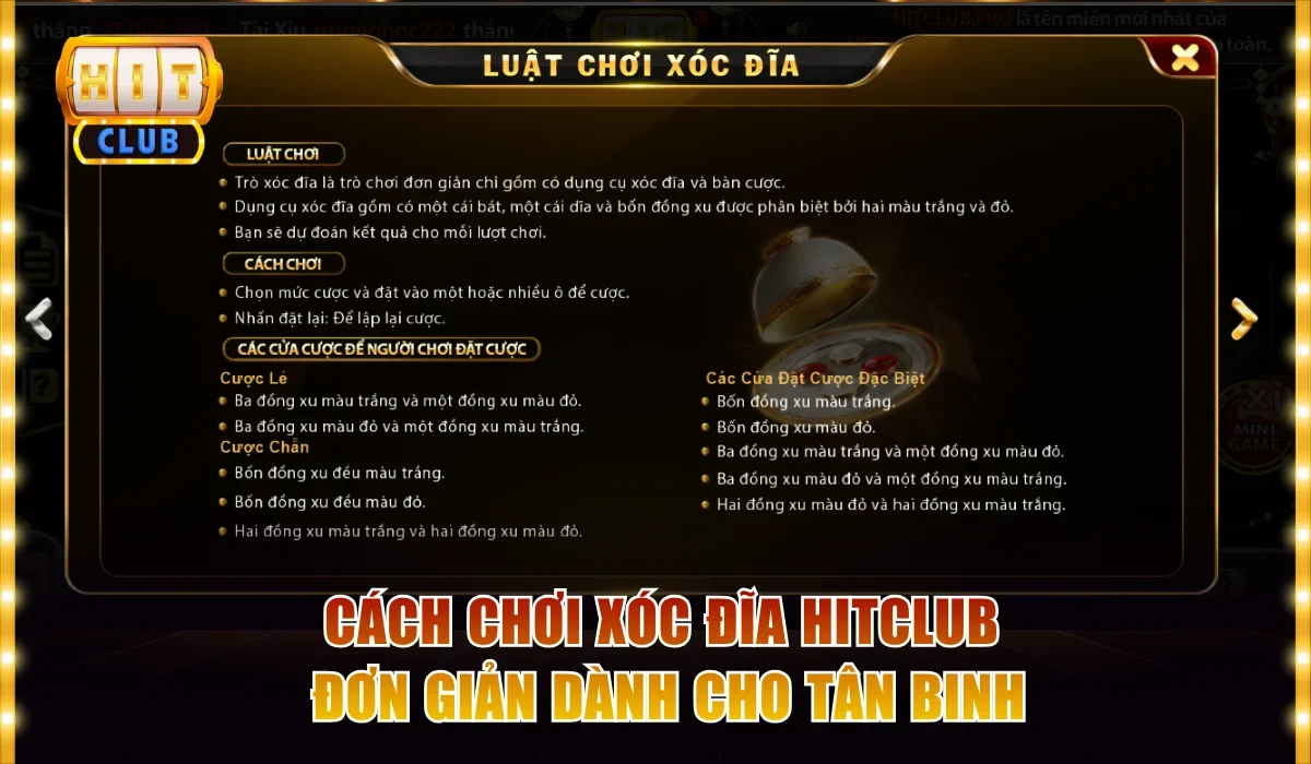 Cách Chơi Xóc Đĩa Hitclub | Nghệ Thuật Soi Cầu Và Đặt Cược 3 Cách chơi Xóc đĩa Hitclub đơn giản dành cho tân binh