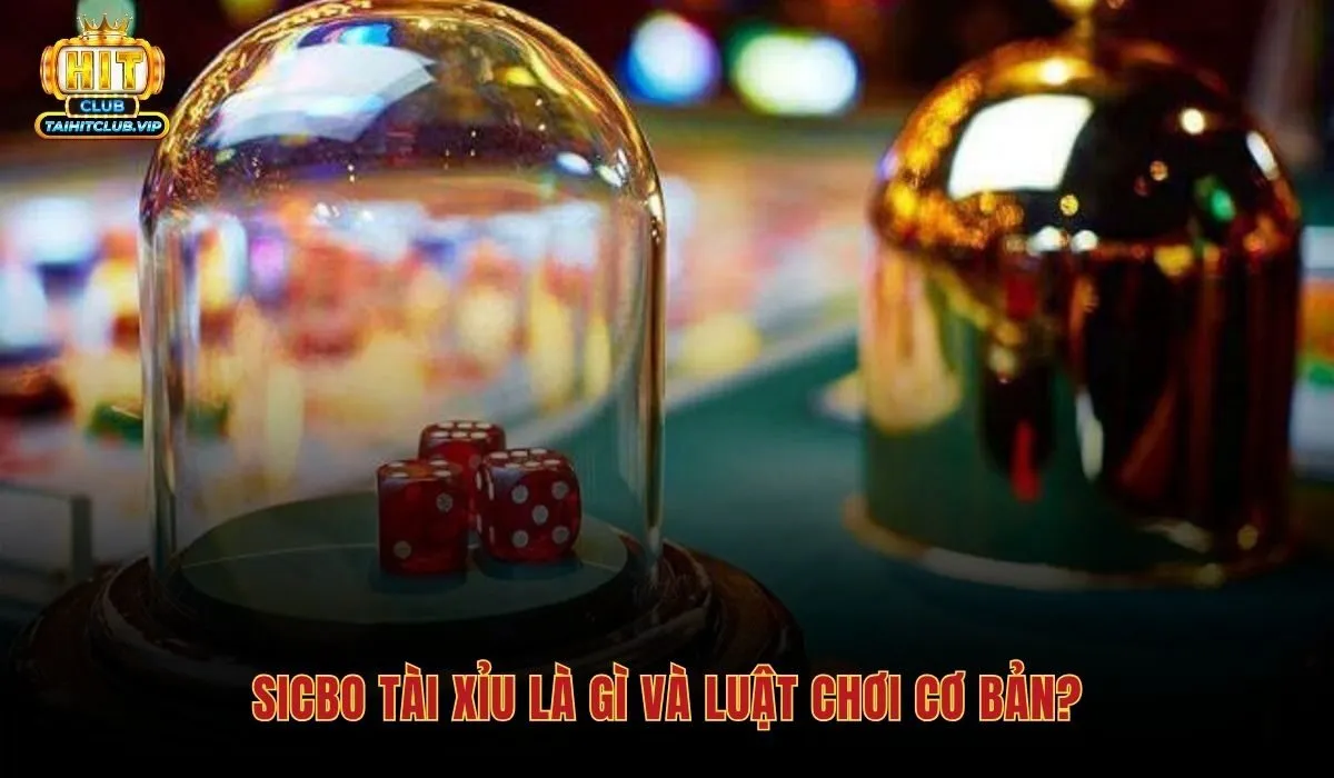 Sicbo Tài Xỉu - Luật Chơi 8 Loại Cược Và Chiến Lược Vốn 2 Luật chơi Sicbo tài xỉu và cách xác định kết quả ván cược