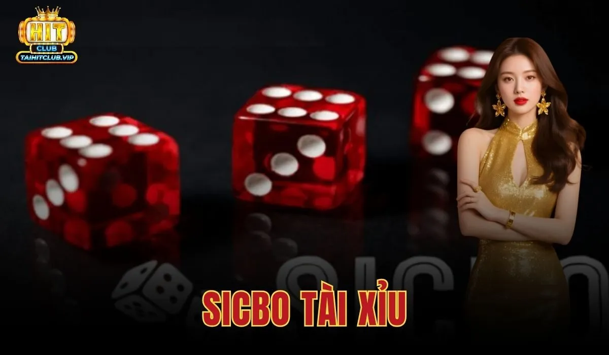 Sicbo Tài Xỉu - Luật Chơi 8 Loại Cược Và Chiến Lược Vốn 1 Sicbo Tài Xỉu
