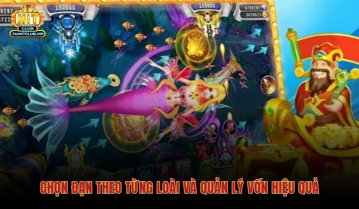 Mẹo Chơi Bắn Cá - 5 Chiến Thuật Tỉa Xu Hiệu Quả Hitclub 3 Mẹo chơi bắn cá chọn đạn đúng và quản lý vốn